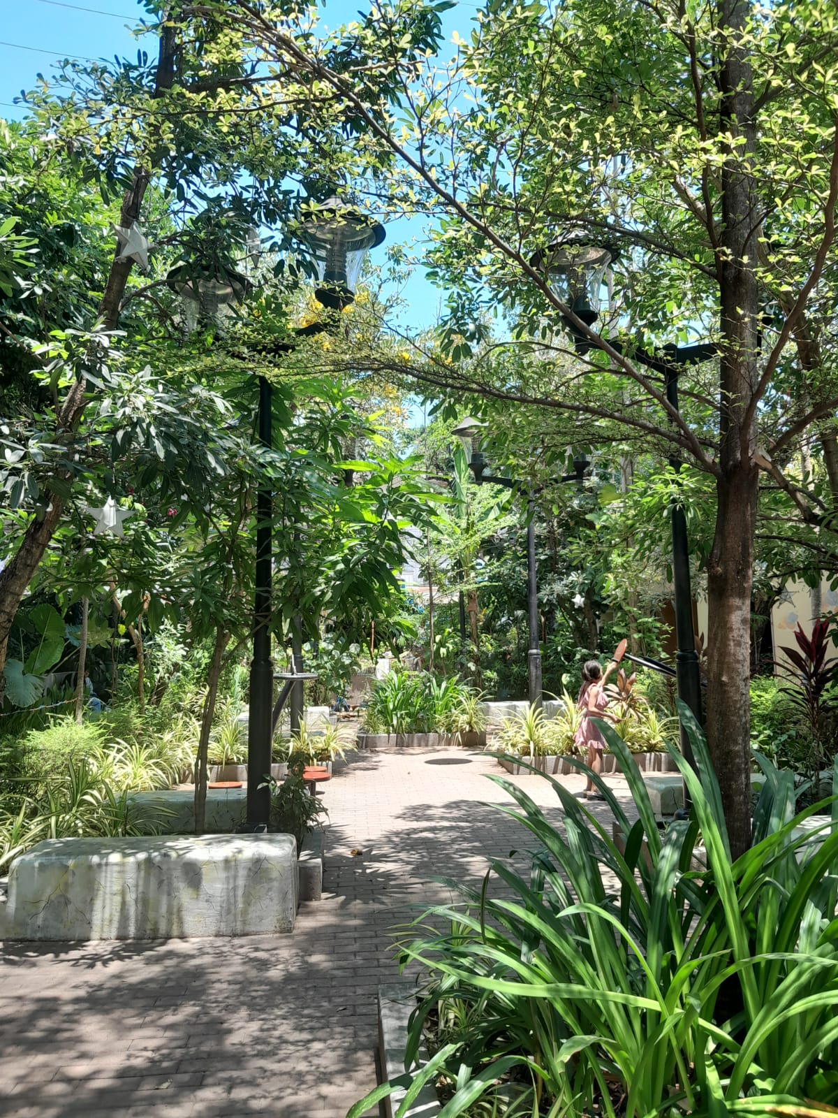 The portion of Plaza Rizal beside the church consists of concrete benches shaded with different plants and trees. There's a tall African Talisay standing near the middle. I noticed that there are also seesaws nearby for play. I thought it was a good place to have a conversation even against the back drop of the summer heat.