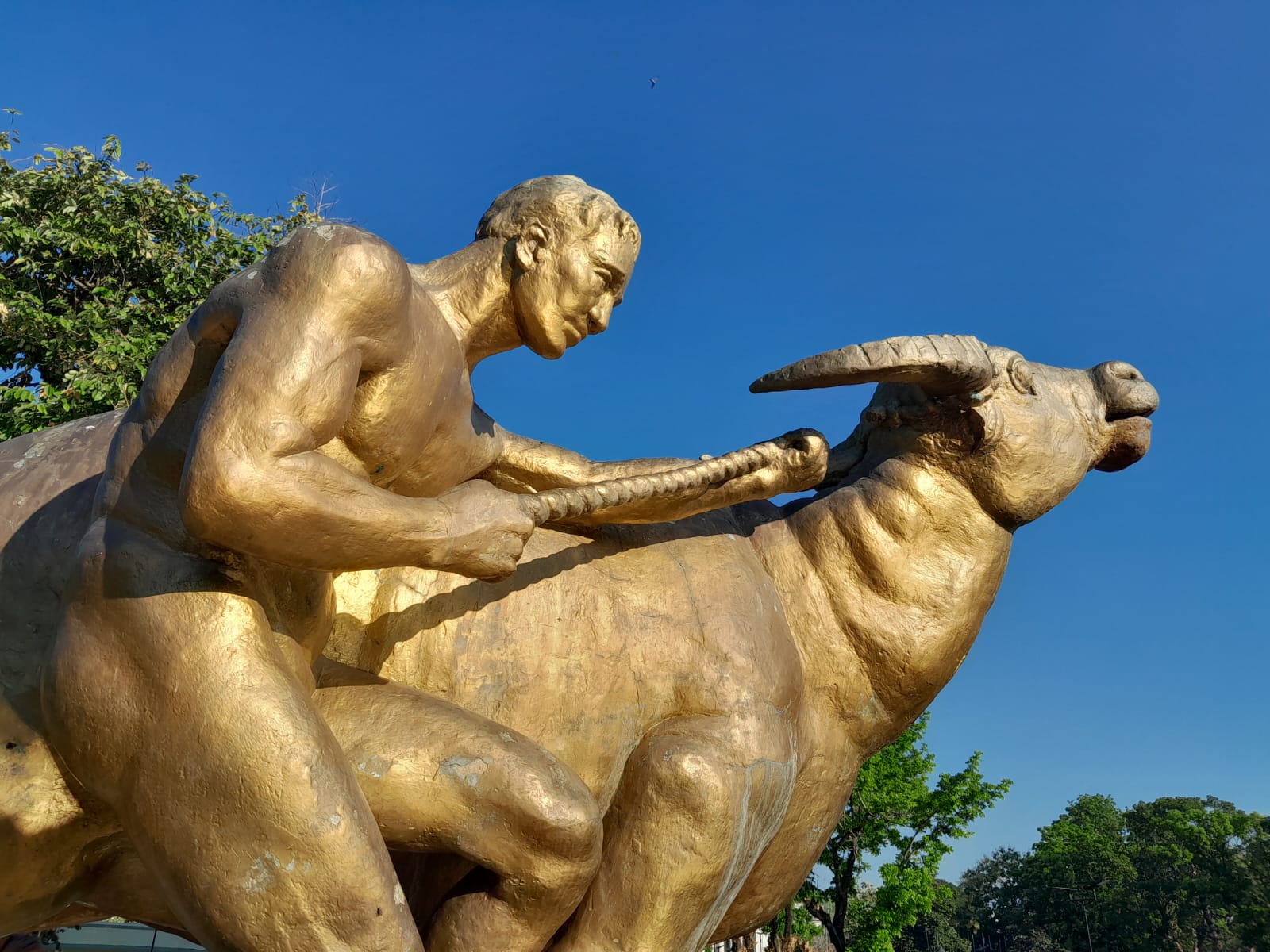 An image of a Filipino man holding a water buffalo on the head with a rope. It may signify Negros's historical significance as an important produce supplier.